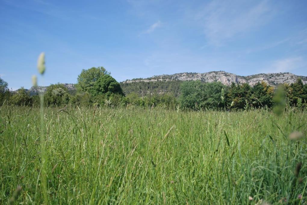 Le Cabanon Tendance Du Luberon Mérindol Extérieur photo